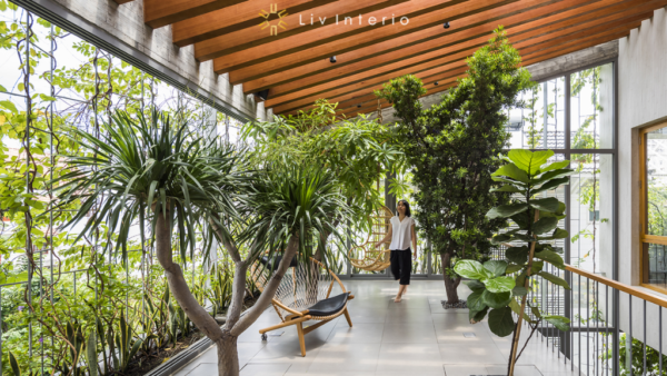 Biophilic Design: Incorporating nature into interior spaces to improve well-being and connection with the environment.